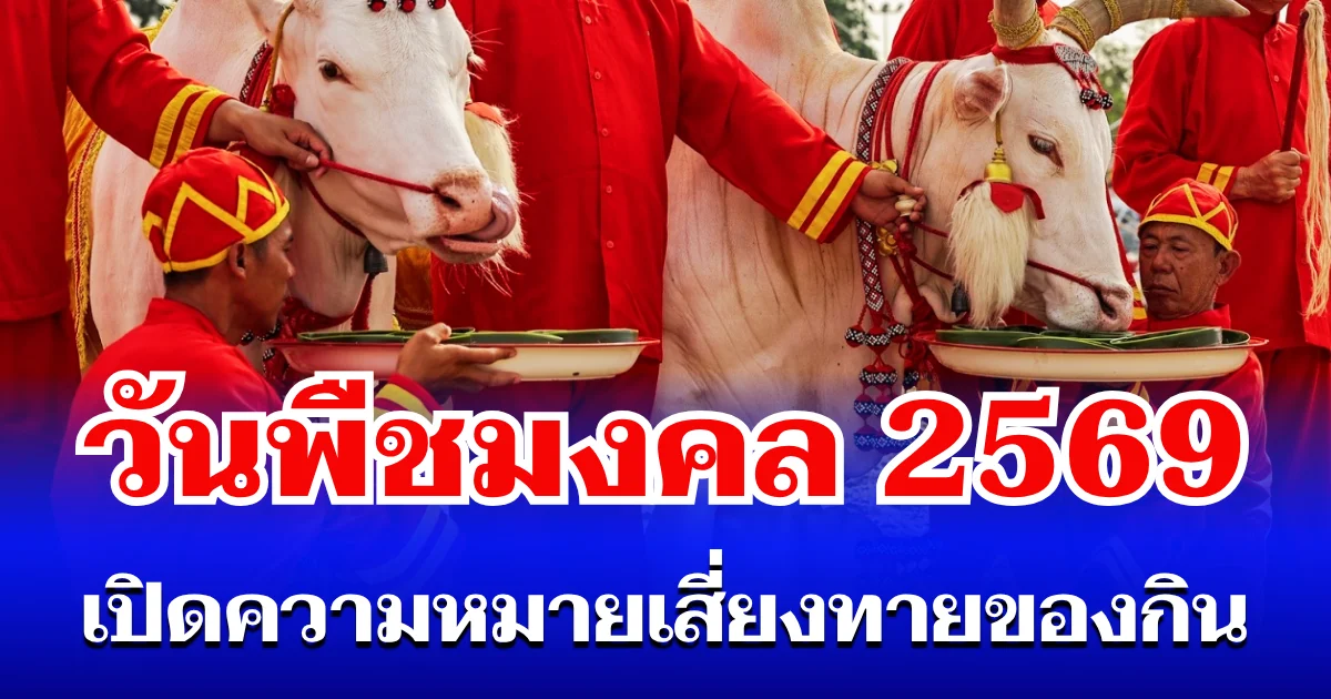 วันพืชมงคล 2569 เปิดความหมาย เสี่ยงทายของกิน 7 อย่าง พระราชพิธีพืชมงคลจรดพระนังคัลแรกนาขวัญ
