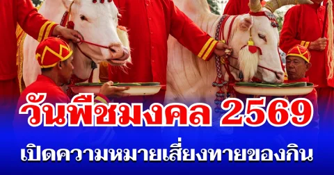 วันพืชมงคล 2569 เปิดความหมาย เสี่ยงทายของกิน 7 อย่าง พระราชพิธีพืชมงคลจรดพระนังคัลแรกนาขวัญ