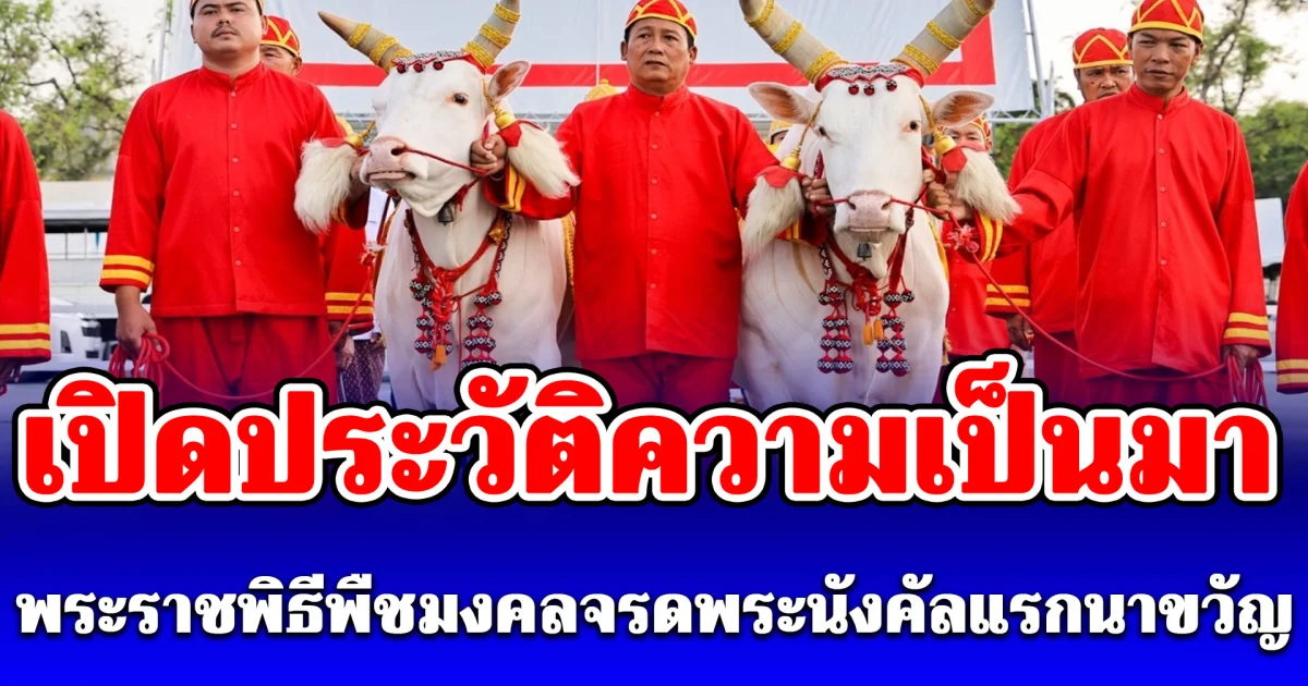 วันพืชมงคล 69 เปิดประวัติความเป็นมา พระราชพิธีพืชมงคลจรดพระนังคัลแรกนาขวัญ ที่หลายคนยังไม่รู้