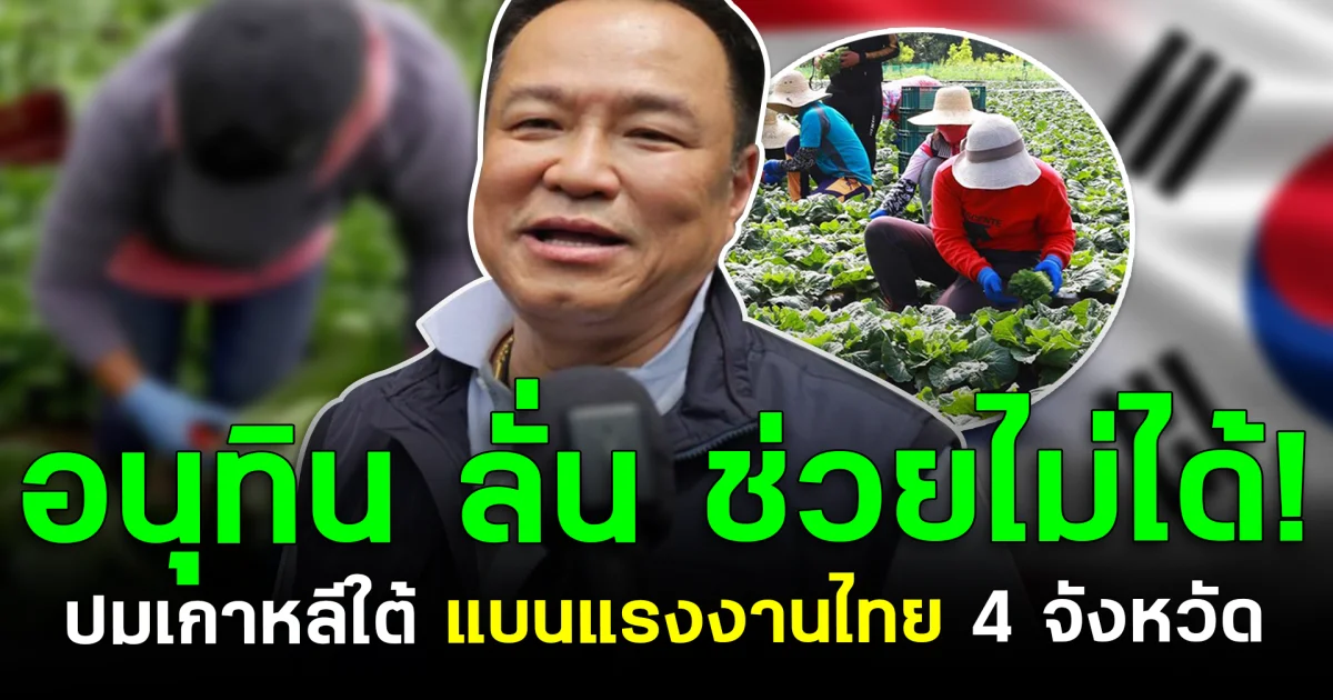 อนุทิน ลั่น ช่วยไม่ได้! ปมเกาหลีใต้ แบนแรงงานไทย 4 จังหวัด