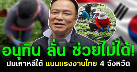 อนุทิน ลั่น ช่วยไม่ได้! ปมเกาหลีใต้ แบนแรงงานไทย 4 จังหวัด