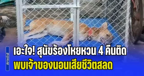 เอะใจ! สุนัขร้องโหยหวน 4 คืนติด เพื่อนบ้านได้กลิ่นเหม็นเน่าแจ้ง ผญบ. ตรวจสอบ พบเจ้าของนอนเสียชีวิตสลด