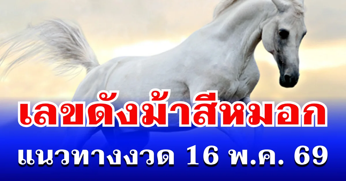 ควบมาให้โชค! เลขดัง ม้าสีหมอก แนวทางงวด 16 พ.ค. 69