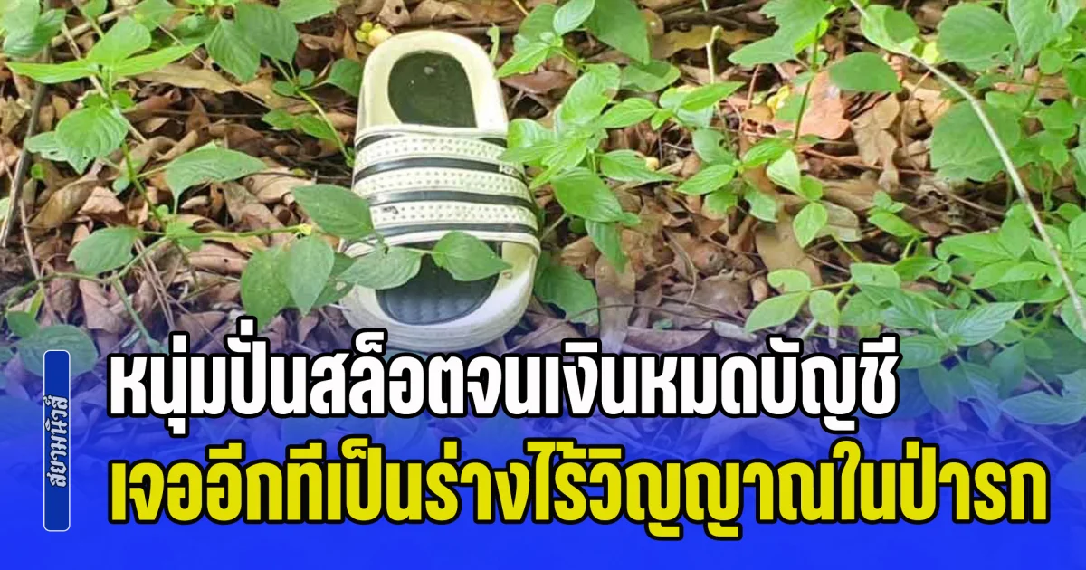 หนุ่มปั่นสล็อตจนเงินหมดบัญชี เครียดหนัก หายตัวข้ามคืน เจออีกทีเป็นร่างไร้วิญญาณในป่ารก