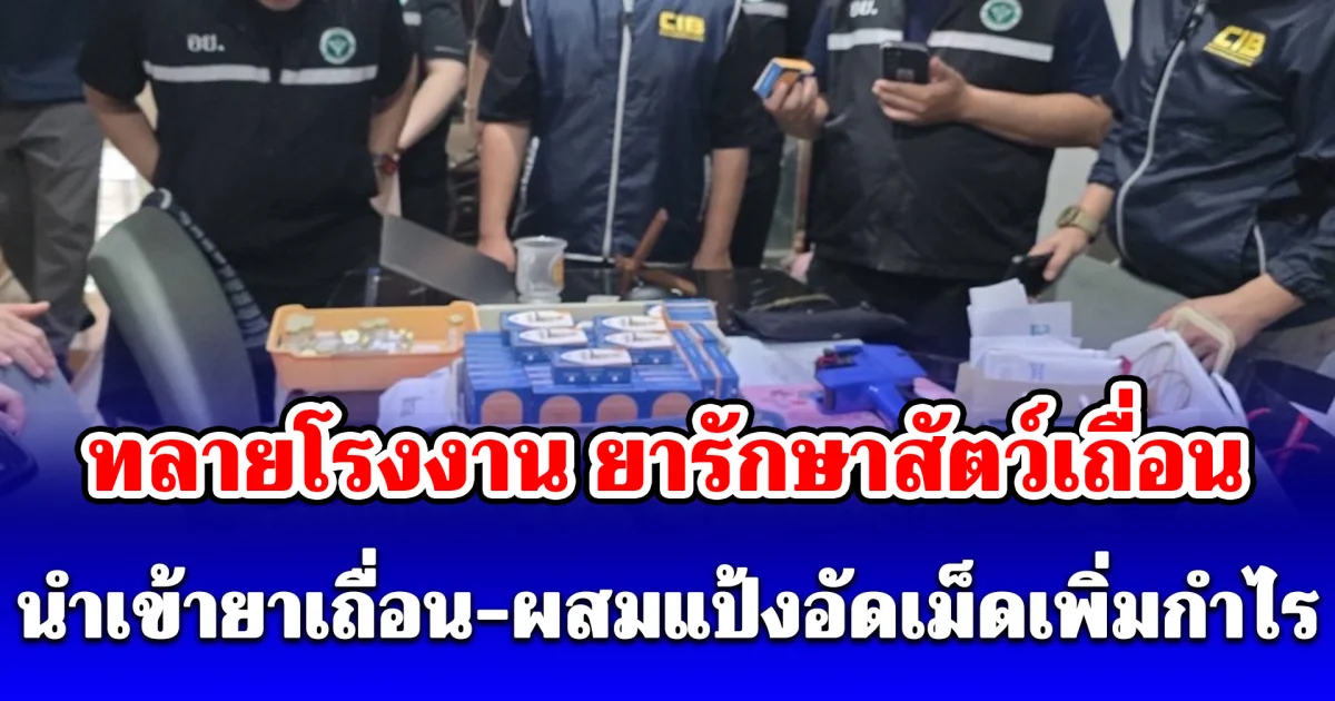 ทลายโรงงาน ยารักษาสัตว์เถื่อน นำเข้ายาเถื่อน-ผสมแป้งอัดเม็ดเพิ่มกำไร ส่งขายออนไลน์ มูลค่า กว่า 1 ล้านบาท