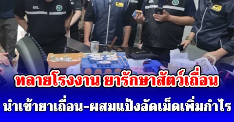 ทลายโรงงาน ยารักษาสัตว์เถื่อน นำเข้ายาเถื่อน-ผสมแป้งอัดเม็ดเพิ่มกำไร ส่งขายออนไลน์ มูลค่า กว่า 1 ล้านบาท