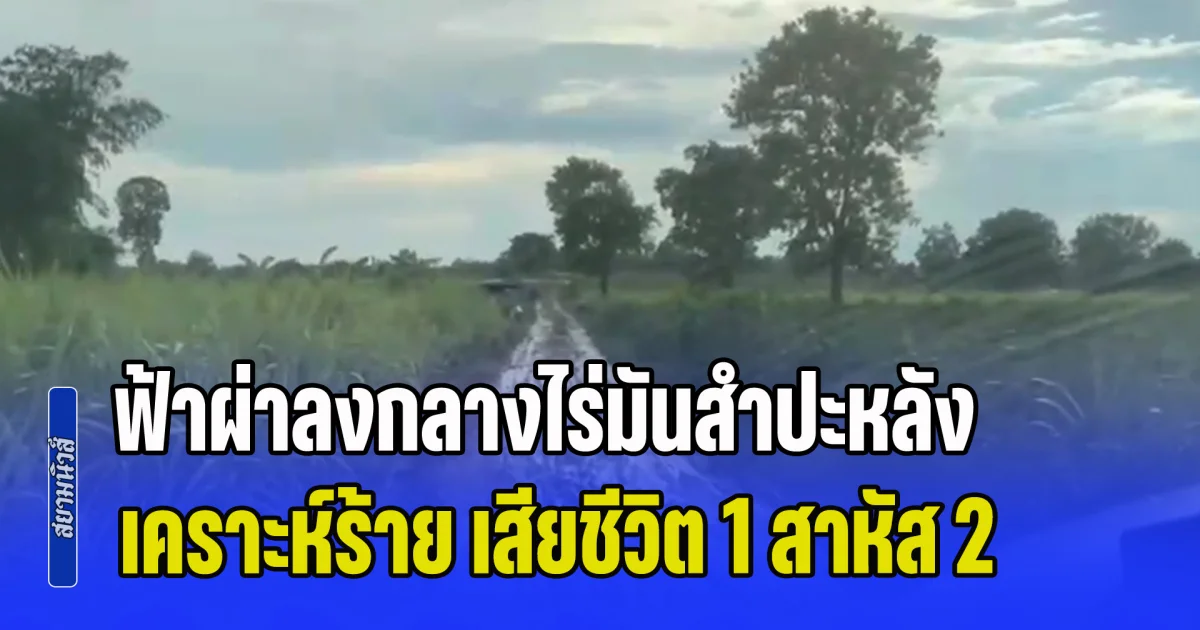 ฟ้าพิโรธ! ผ่าลงกลางไร่มันสำปะหลัง เคราะห์ร้าย เสียชีวิต 1 สาหัส 2