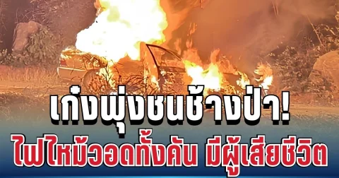 สลด เก๋งพุ่งชนช้างป่ากลางดึก ไฟไหม้วอดทั้งคัน มีผู้เสียชีวิต