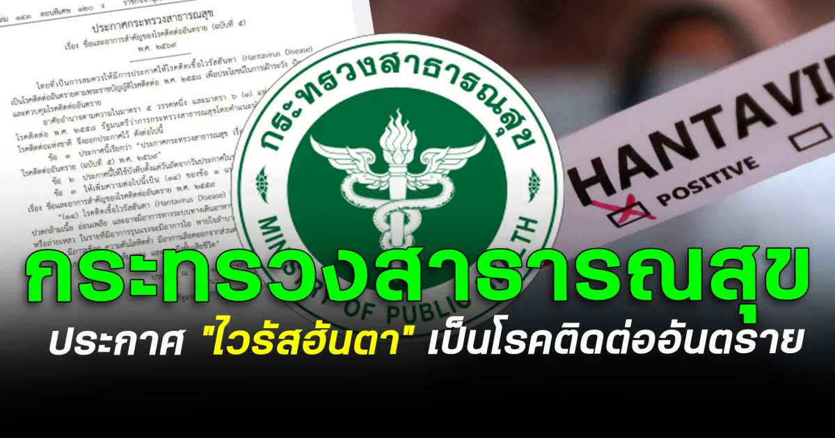 จับตาใกล้ชิด! กระทรวงสาธารณสุข ประกาศ “ไวรัสฮันตา” เป็นโรคติดต่ออันตราย