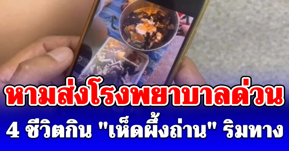หามส่งโรงพยาบาลด่วน 4 ชีวิตกิน เห็ดผึ้งถ่าน ริมทาง กลางดึกปวดท้องรุนแรง-อาเจียนหนัก