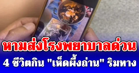 หามส่งโรงพยาบาลด่วน 4 ชีวิตกิน เห็ดผึ้งถ่าน ริมทาง กลางดึกปวดท้องรุนแรง-อาเจียนหนัก
