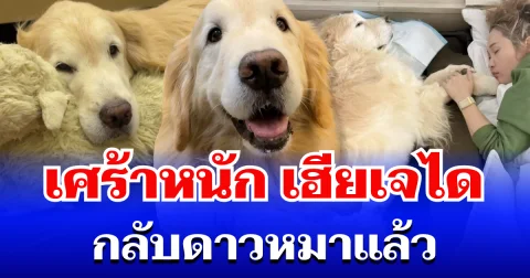 แฟน ๆ เศร้าหนัก เฮียเจได เจ้าตูบอินฟลูฯ ดัง กลับดาวหมาแล้ว