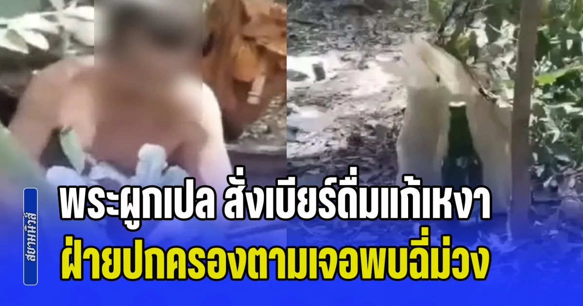 อาตมาก็เหงาเป็นนะ! พระผูกเปล สั่งเบียร์ดื่มชิวๆ กลางป่า ฝ่ายปกครองตามเจอจับตรวจพบฉี่ม่วง
