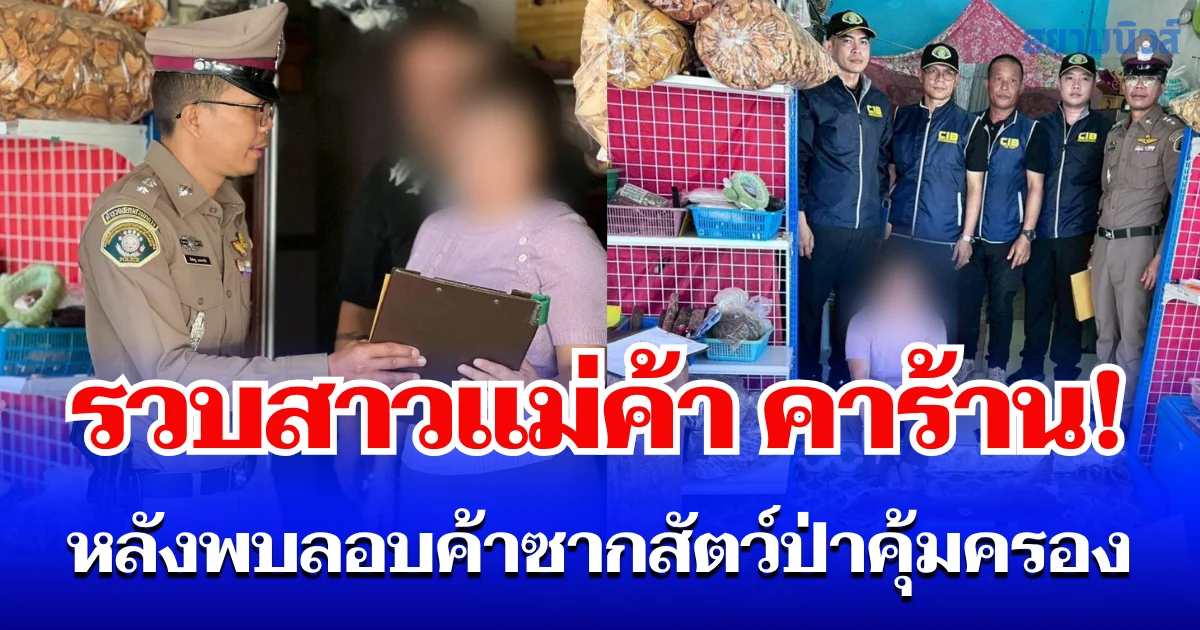 รวบคาร้าน! สาวลอบค้าซากสัตว์ป่าคุ้มครอง พบซุกของกลางเพียบ