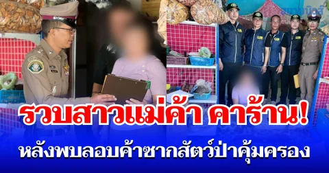 รวบคาร้าน! สาวลอบค้าซากสัตว์ป่าคุ้มครอง พบซุกของกลางเพียบ