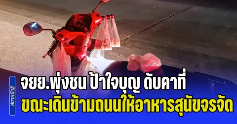 จยย.พุ่งชน ป้าใจบุญ ดับคาที่ ขณะเดินข้ามถนนให้อาหารสุนัขจรจัด ส่วนคนขี่บาดเจ็บสาหัส