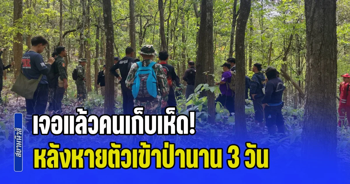 เจอแล้วคนเก็บเห็ด! หลังหายตัวเข้าป่านาน 3 วัน ปูพรมหาจนพบเสียชีวิตใต้ต้นมะม่วง