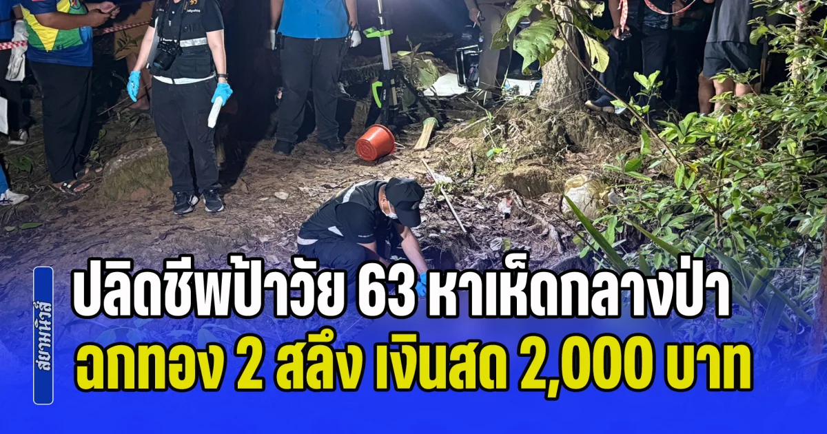 เร่งล่าตัวคนร้าย! ปลิดชีพป้าวัย 63 หาเห็ดกลางป่า ฉกทอง 2 สลึง เงินสด 2,000 บาท