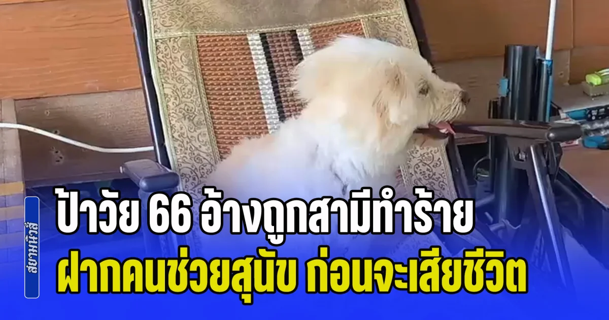 สลด! ป้าวัย 66 อ้างถูกสามีทำร้าย ขี่จยย.พร้อมสุนัขจะไปรพ. แต่หมดแรงขอคนช่วยสุนัข ก่อนเจ้าตัวจะเสียชีวิต