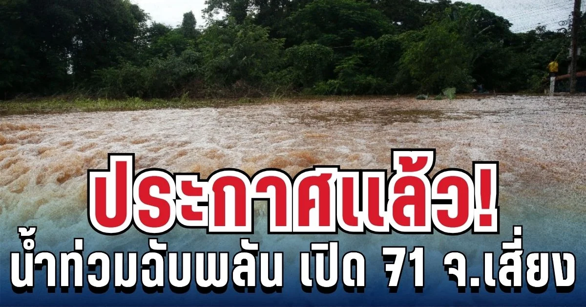 แจ้งเตือนด่วน! ปภ. ประกาศ 71 จังหวัดทั่วไทย เสี่ยงน้ำท่วมฉับพลัน ฝนถล่มต่อเนื่อง 4 วัน