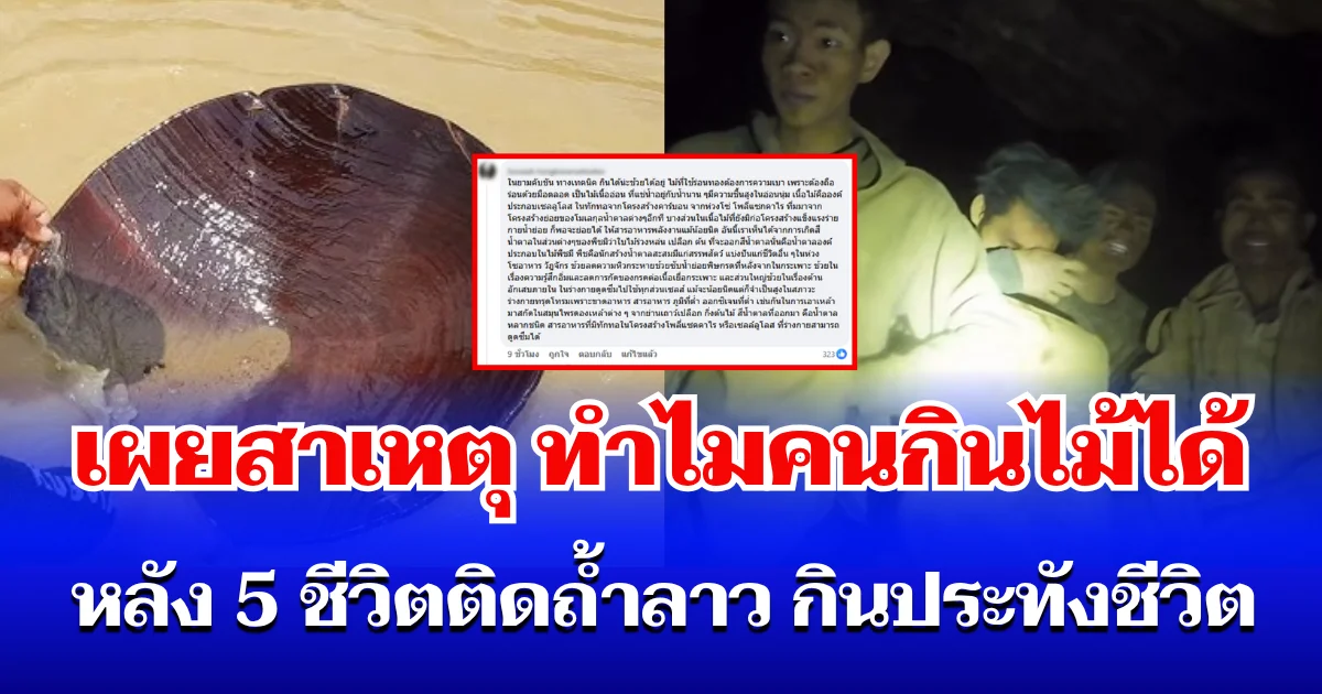 หายสงสัย! เผยสาเหตุ ทำไมคนกินไม้ได้ หลัง 5 ชีวิตติดถ้ำลาว กินประทังชีวิต