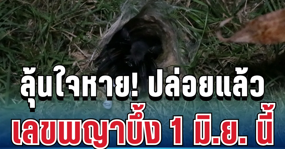 ลุ้นใจหาย! ปล่อยแล้ว เลขพญาบึ้ง 1 มิ.ย. นี้