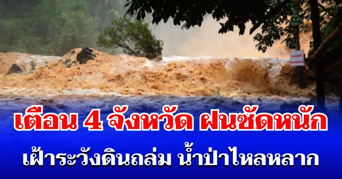 กรมธรณี ประกาศเตือน! 4 จังหวัด โดนฝนซัดหนัก เฝ้าระวังดินถล่ม น้ำป่าไหลหลาก