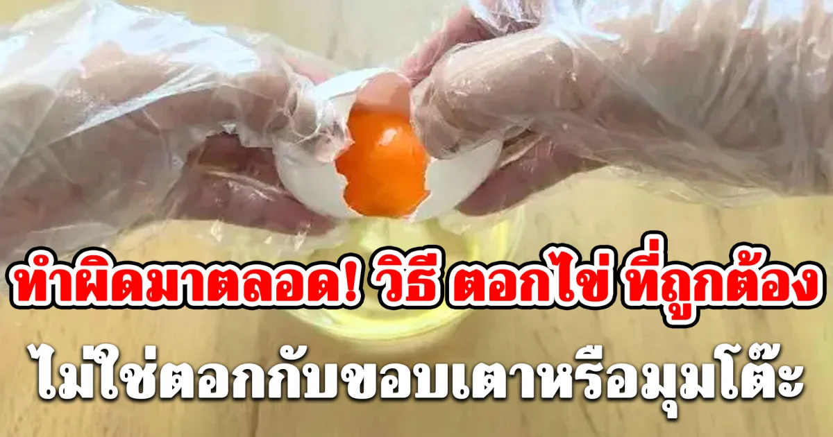 ทำผิดมาตลอด! วิธี ตอกไข่ ที่ถูกต้อง ไม่ใช่ตอกกับขอบเตาหรือมุมโต๊ะ