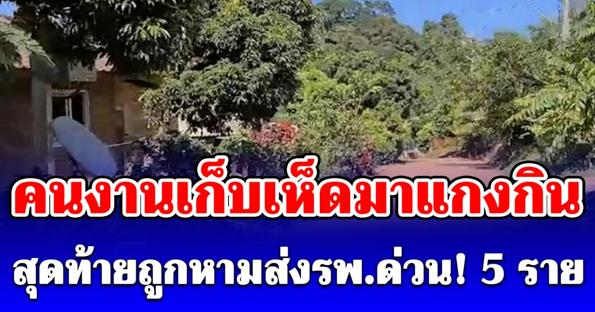 คนงานเก็บเห็ดมาแกงกิน สุดท้ายถูกหามส่งรพ.ด่วน! 5 ราย