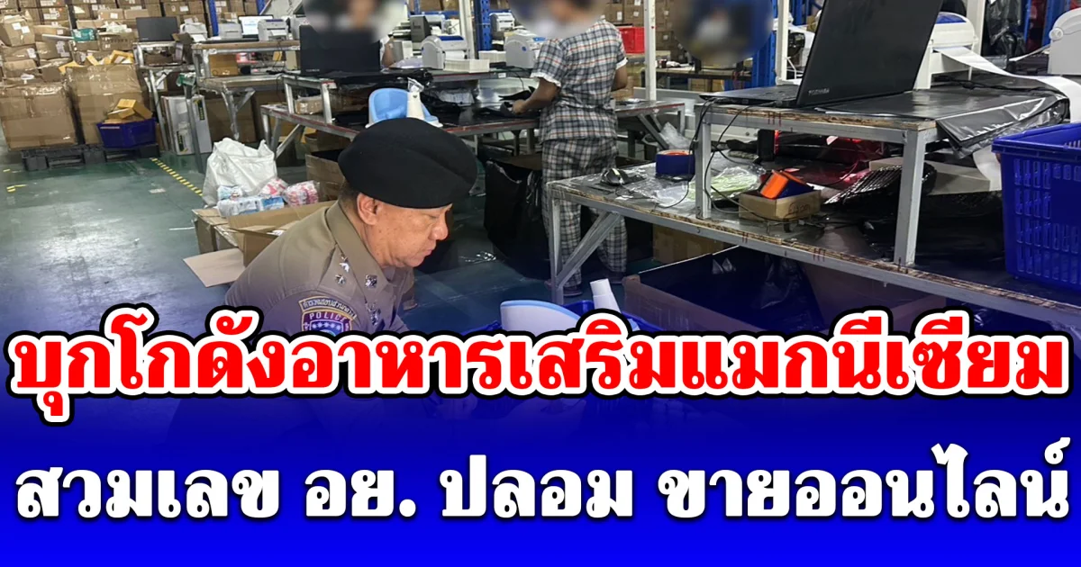 บุกโกดังอาหารเสริมแมกนีเซียม สวมเลข อย. ปลอม ขายออนไลน์ ยึดของกลาง มูลค่ากว่า 2 ล้านบาท