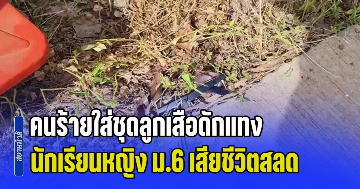 สุดเศร้า! คนร้ายใส่ชุดลูกเสือดักแทง นักเรียนหญิง ม.6 เสียชีวิตสลด พ่อได้ยินเสียงกรีดร้อง รีบออกไปช่วยแต่ไม่ทัน