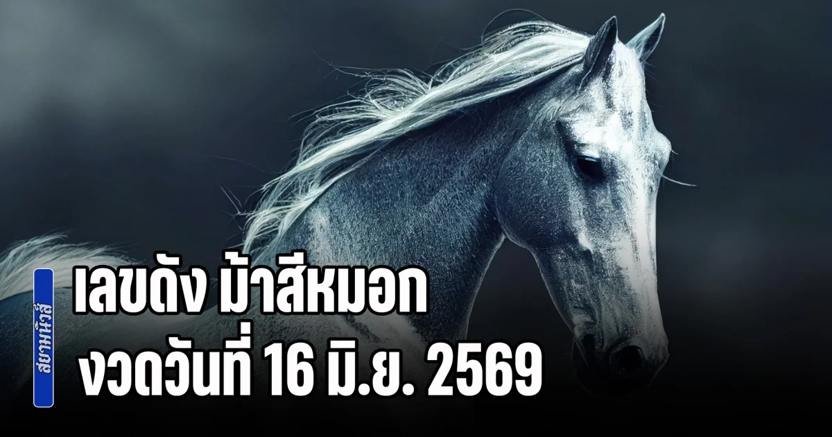 ควบมาให้โชคแล้ว เลขดัง ม้าสีหมอก งวดวันที่ 16 มิ.ย. 2569
