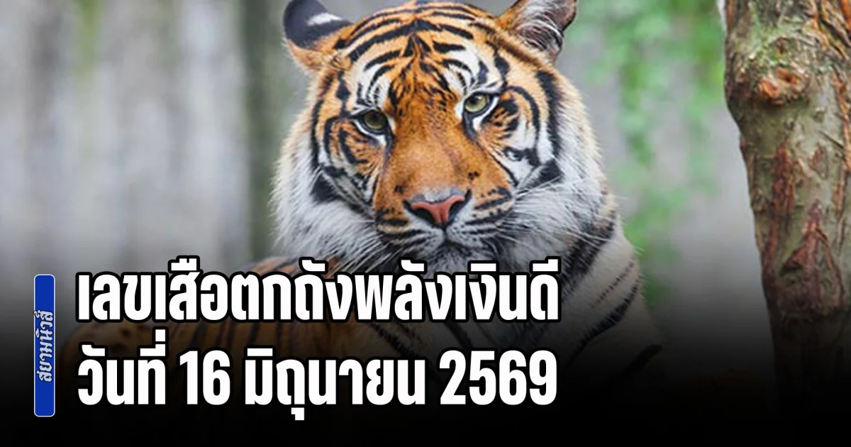 มาแล้ว! เลขเสือตกถังพลังเงินดี วันที่ 16 มิถุนายน 2569