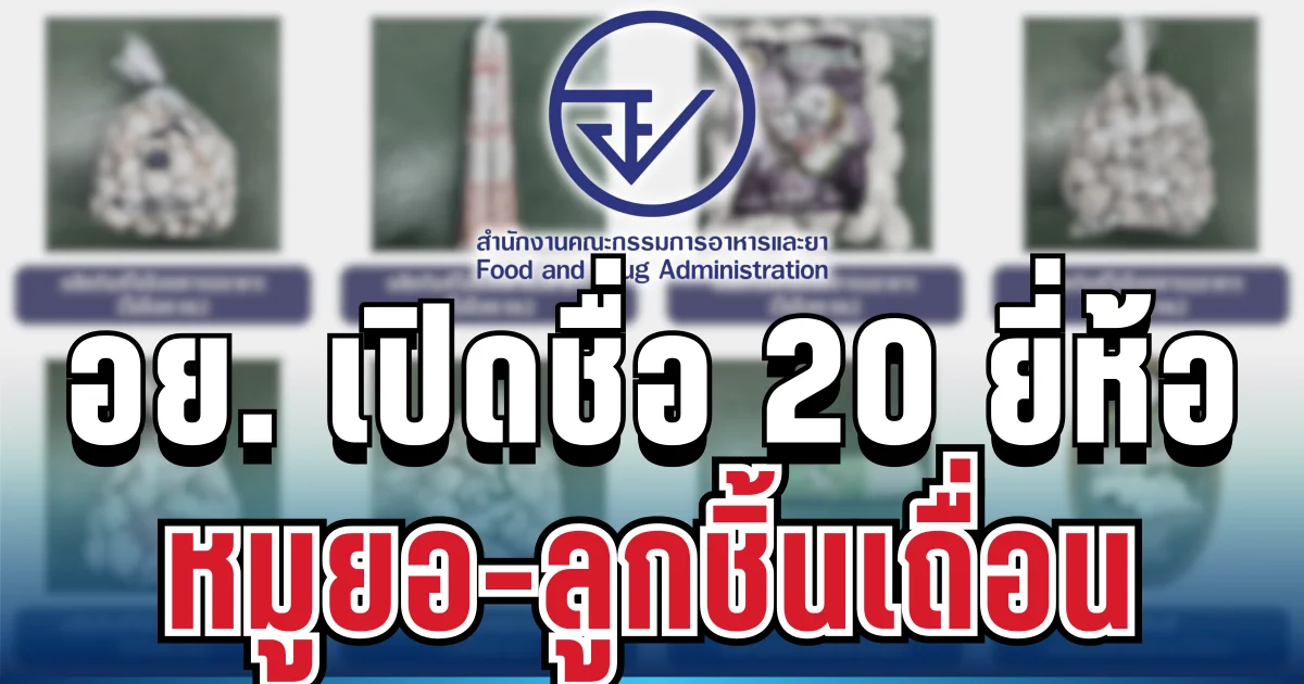 ใครมีอยู่ ทิ้งด่วน! อย. เปิดชื่อ 20 ยี่ห้อ หมูยอ-ลูกชิ้นเถื่อน พบสวมเลข อย. ปลอม