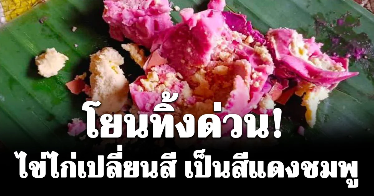 โยนทิ้งด่วน! ไข่ไก่เปลี่ยนสี เป็นสีแดงชมพู ห้ามกินเด็ดขาด อ.แม่สะเรียง รุดตรวจสอบ