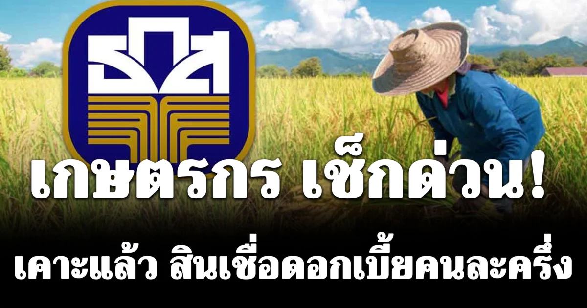 ไฟเขียว! บอร์ด ธ.ก.ส. เคาะ สินเชื่อดอกเบี้ยคนละครึ่ง รัฐช่วยจ่ายดอกเบี้ย 3%