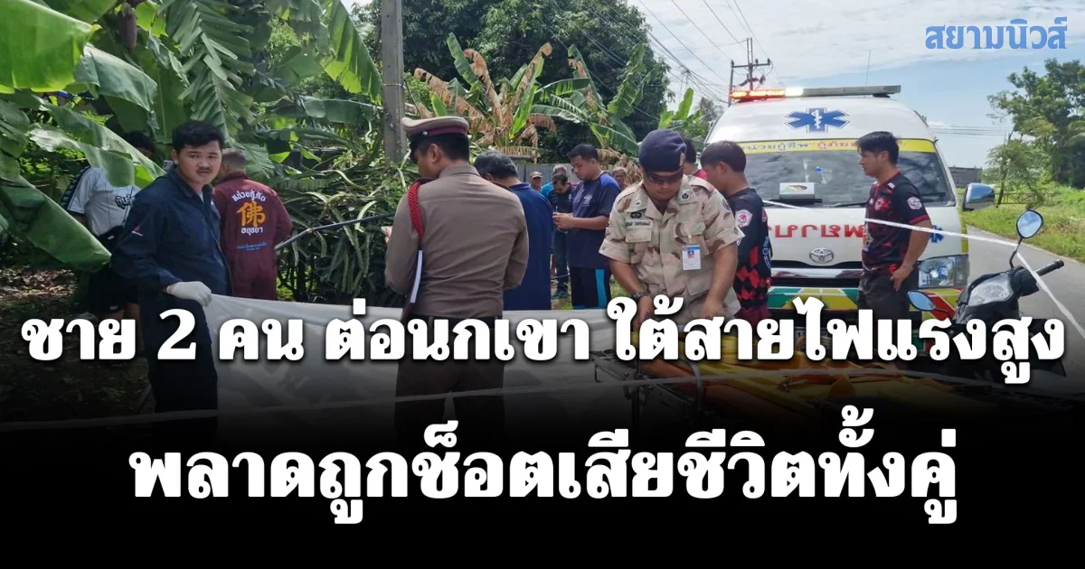 สลด ชาย 2 คน ต่อนกเขา ใต้สายไฟแรงสูง 22,000 โวลต์ พลาดถูกช็อตเสียชีวิตทั้งคู่