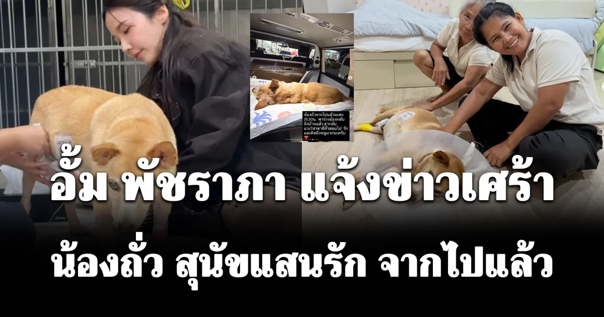 อั้มพัชราภา แจ้งข่าวเศร้า น้องถั่ว สุนัขแสนรัก จากไปแล้ว
