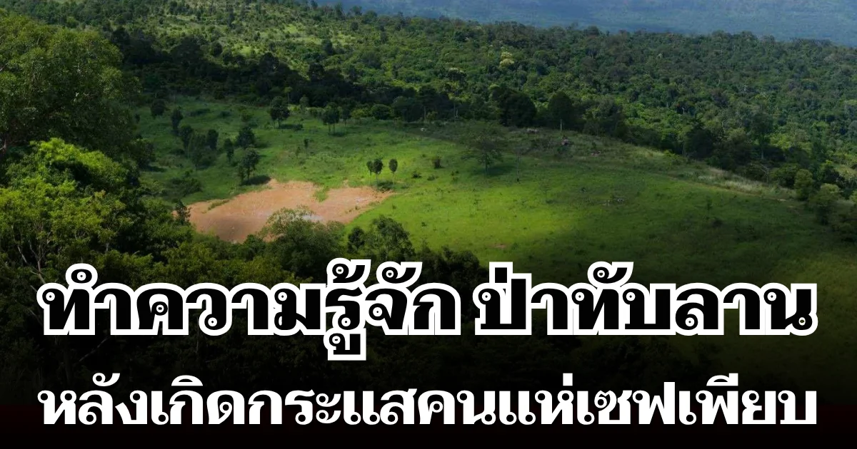 ทำความรู้จัก อุทยานแห่งชาติทับลาน หลังเกิดกระแสคนแห่เซฟเพียบ