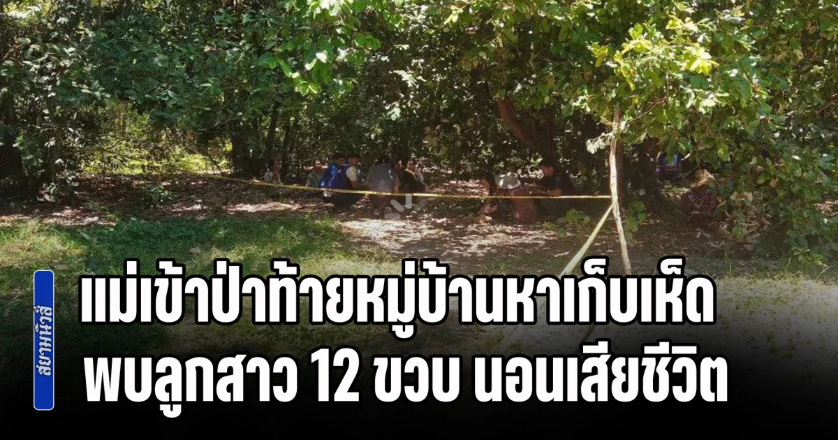 แม่เข้าป่าท้ายหมู่บ้านหาเก็บเห็ด พบลูกสาวอายุ 12 ขวบ นอนเสียชีวิต สภาพร่างสุดสะเทือนใจ พบร่องรอยถูกละเมิด