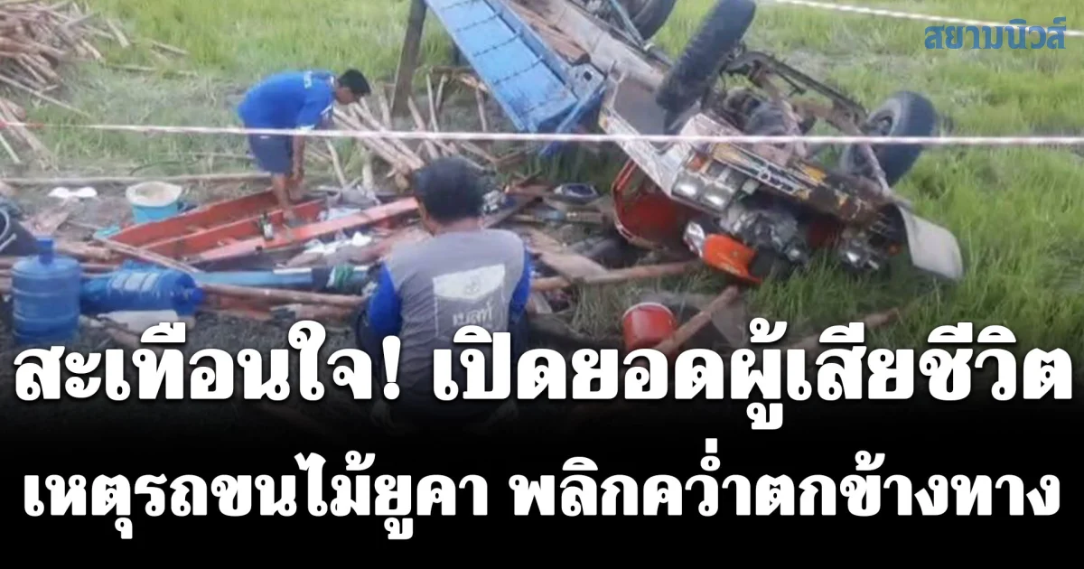 สะเทือนใจ! เปิดยอดผู้เสียชีวิต บาดเจ็บ เหตุรถขนไม้ยูคาพลิกคว่ำตกข้างทาง