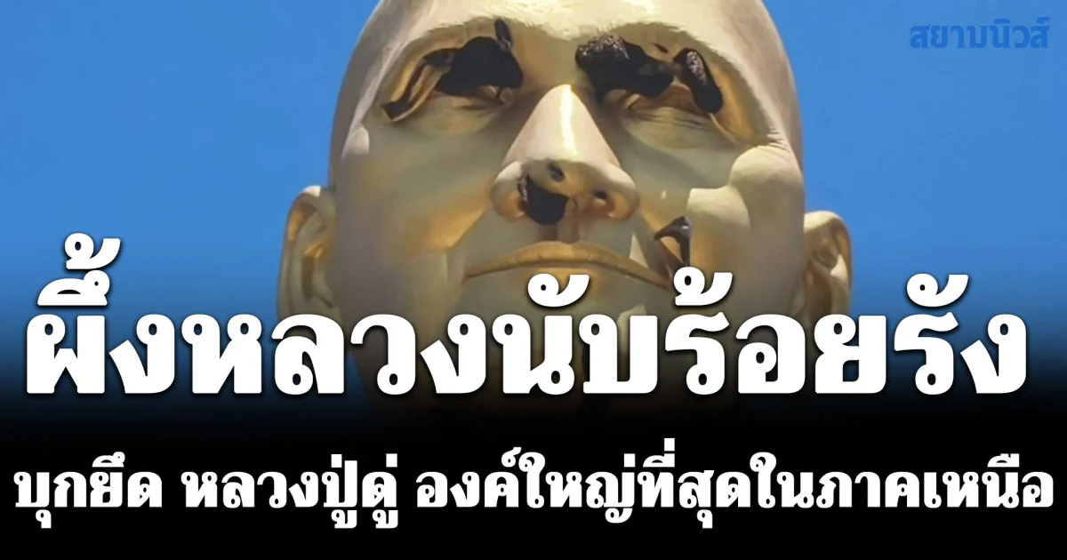 ตะลึง! ผึ้งหลวงนับร้อยรังบุกยึด หลวงปู่ดู่ องค์ใหญ่ที่สุดในภาคเหนือ เกาะแน่นคิ้ว ตา จมูก
