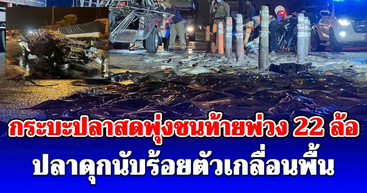 อลหม่านกลางดึก! กระบะปลาสดพุ่งชนท้ายพ่วง 22 ล้อ ปลาดุกนับร้อยตัวเกลื่อนพื้น