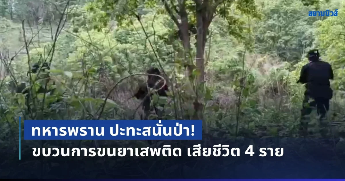 ปะทะสนั่นป่า! ทหารพราน ยิงสู้ขบวนการขนยาเสพติด เสียชีวิต 4 ราย