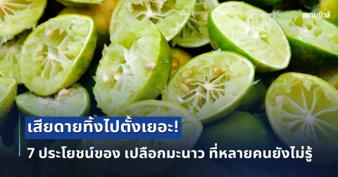 เสียดายทิ้งไปตั้งเยอะ! 7 ประโยชน์ของ เปลือกมะนาว ที่หลายคนคาดไม่ถึง
