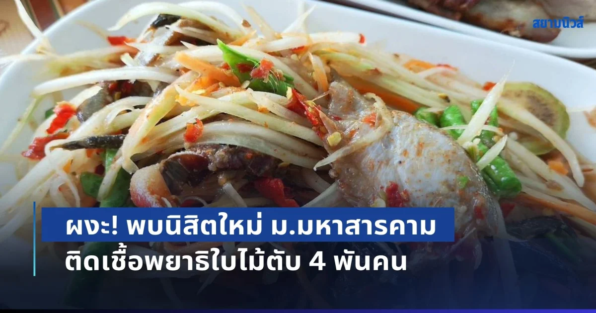 ผงะ! พบนิสิตใหม่ ม.มหาสารคาม ติดเชื้อพยาธิใบไม้ตับ 4 พันคน ผู้ว่าฯ สั่งตรวจร้านส้มตำ