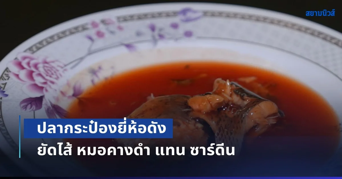 ผลตรวจ DNA พลิก! ปลากระป๋องยี่ห้อดัง ยัดไส้ หมอคางดำ แทน ซาร์ดีน