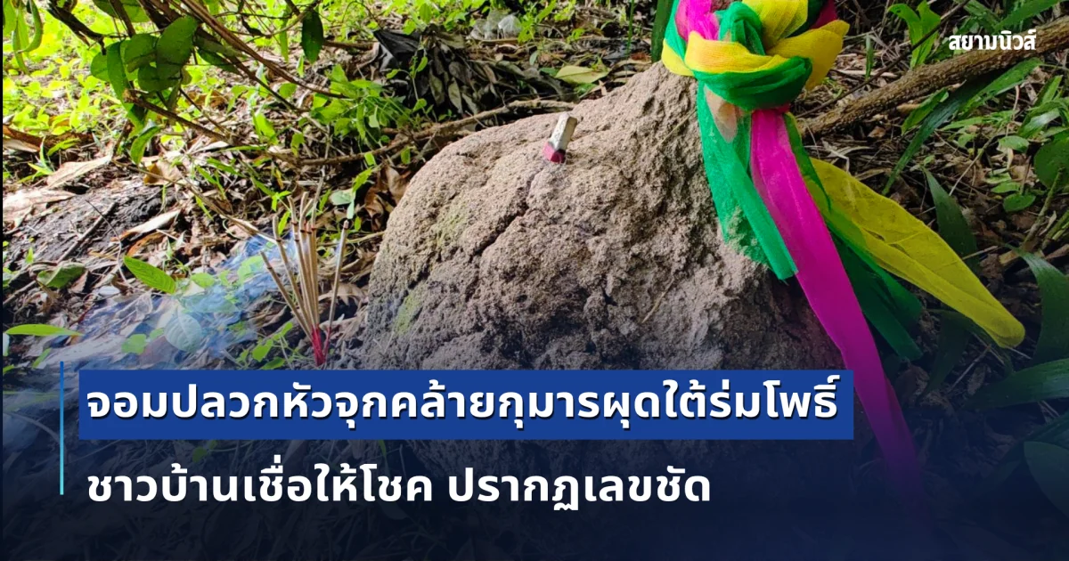 ขนลุก! จอมปลวกหัวจุกคล้ายกุมารผุดใต้ร่มโพธิ์ ชาวบ้านเชื่อให้โชค ปรากฏเลขชัด