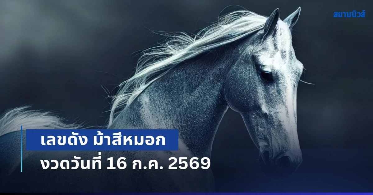 ควบมาให้โชคแล้ว เลขดัง ม้าสีหมอก งวดวันที่ 16 ก.ค. 2569