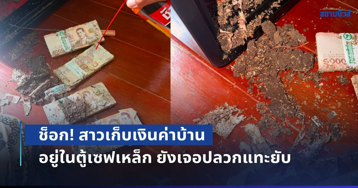 ช็อก! สาวเก็บเงินค่าบ้าน อยู่ในตู้เซฟเหล็ก ยังเจอปลวกแทะยับ รู้ว่าเข้าไปได้ยังไง แทบไม่อยากเชื่อ